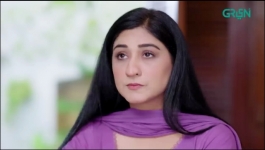 Shehzadi House - Episode 28